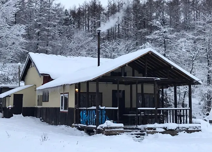 Bears House