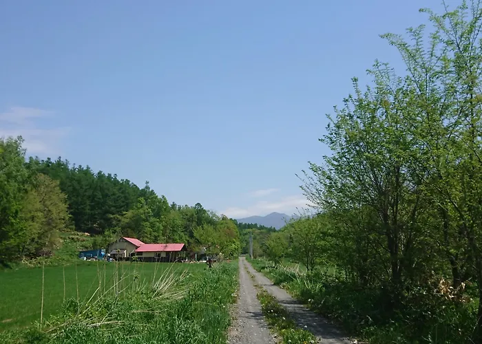 Bears House
